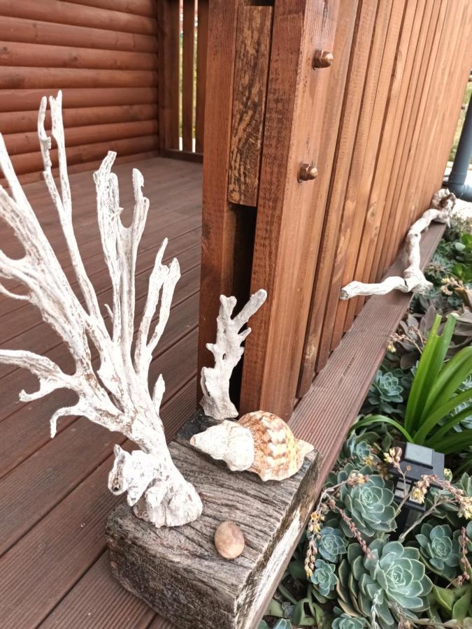 Chameleon Lodge โคลเชสเตอร์ ภายนอก รูปภาพ